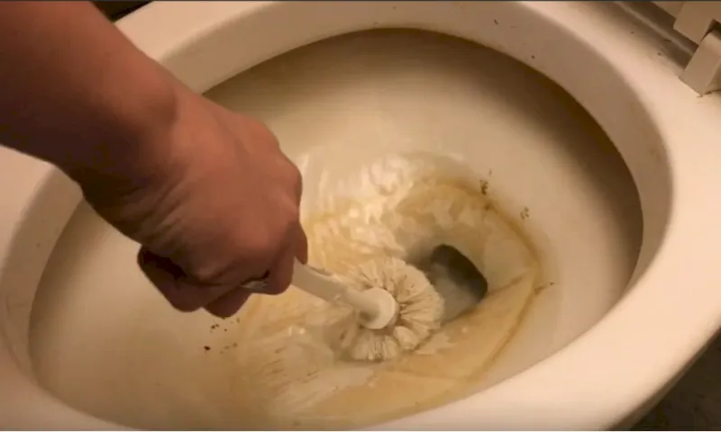 14 Tips to Get Rid of Toilet Ring