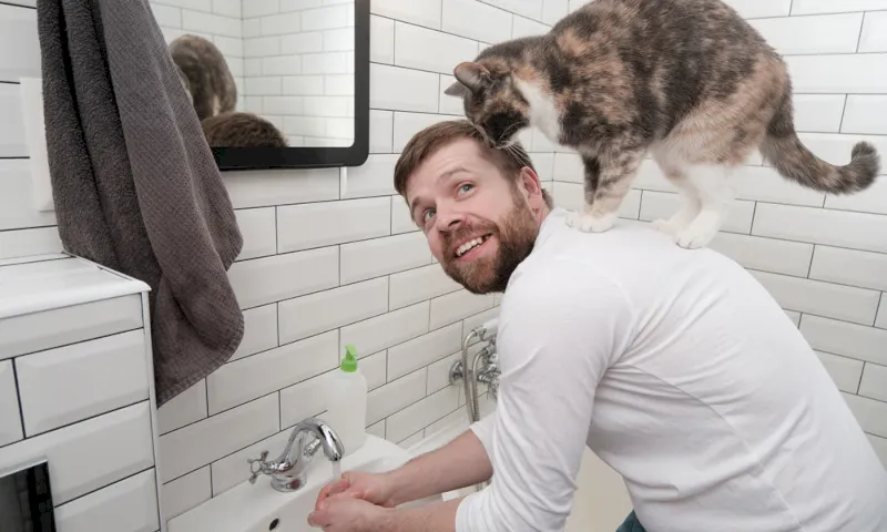 18 Reasons Why Do Cats Follow You into the Bathroom