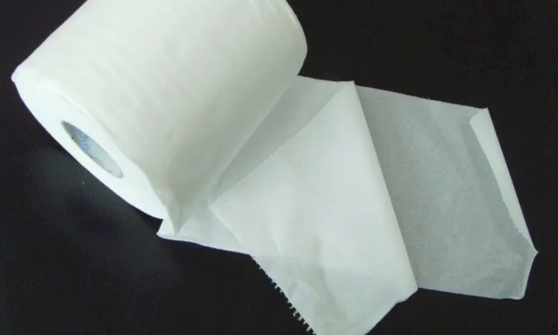 2 capas de papel higiénico