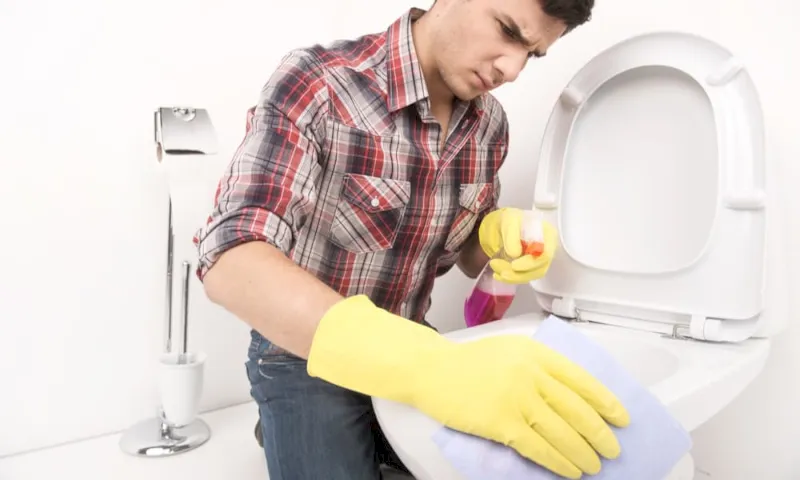 3 Different Techniques To Clean A Toilet Seat