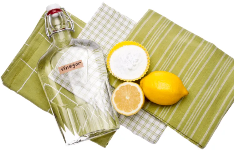 3 sencillas recetas para limpiar tu inodoro de forma natural