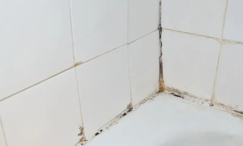 7 Tips to Clean Shower Tiles 1 e1571024165455