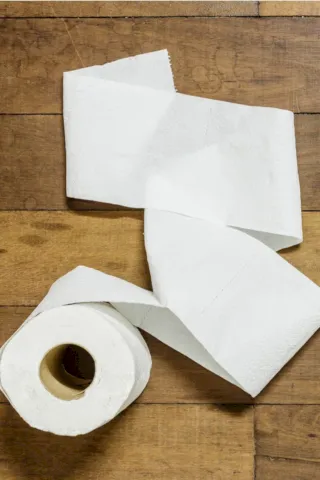 Una breve historia del papel higiénico