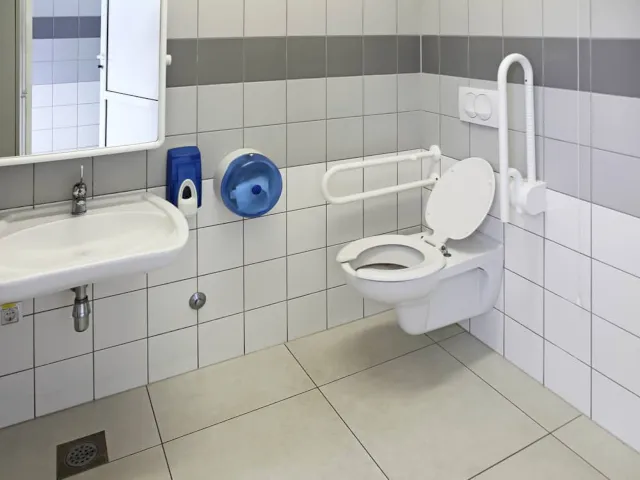 Ambulant vs. Accessible Toilets Whats the Difference