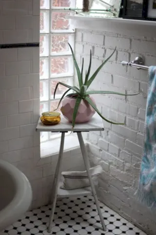 baño de aloe vera