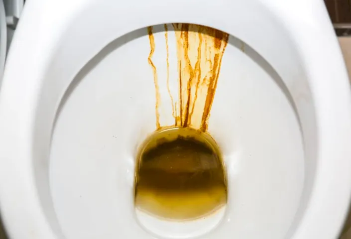 How to Remove Rust Stains from Toilets