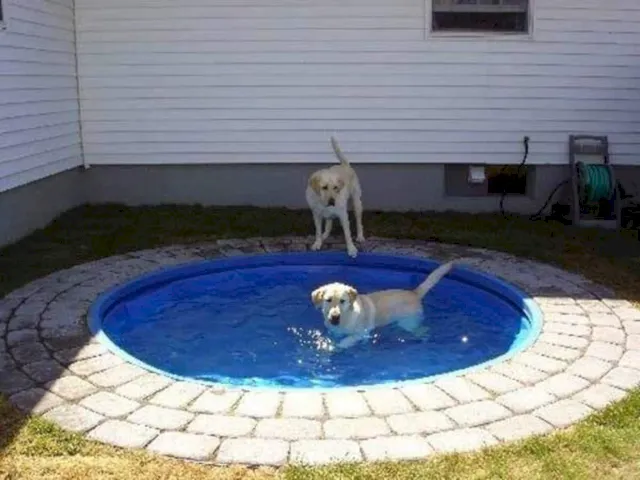 Piscina para niños DIY bañera para perros