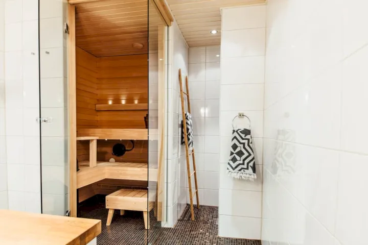 Sauna Bathroom Design Ideas